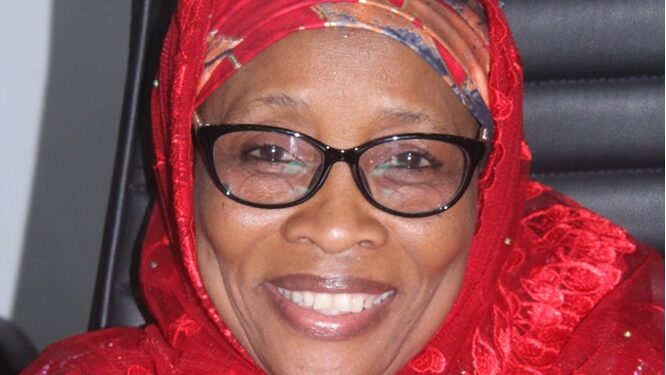Kano Commissioner Pledges Push For Women’s Reserved Seats