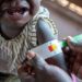 Global Hunger Crisis: Nigeria Listed Among 10 Worst-Hit Countries—Report