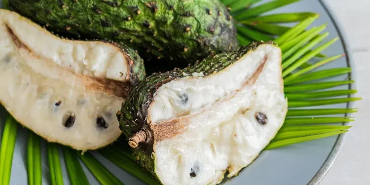 Expert Cautions Against Excessive Consumption Of Soursop Leaves