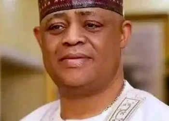 Why I Requested For Redeployment To S/Africa — Fani-Kayode