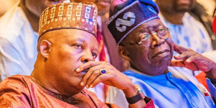 People Told Tinubu I Planned To Kill Him – Shettima