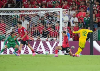 World Cup: South Africa, Mexico Seal Progress With Crucial Victories