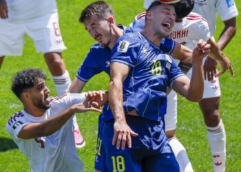 World Cup: Bosnia, Switzerland Secure World Cup Progress